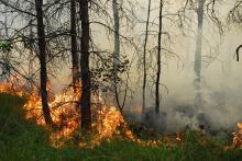 Ruszyła akcja bezpośrednia w ochronie przeciwpożarowej lasów