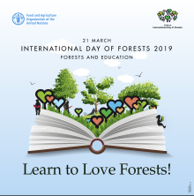 Leśnicy na Międzynarodowy Dzień Lasów