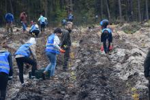 Sadzenie lasu z wolontariuszami organizacji "DOTLENIENI.ORG"